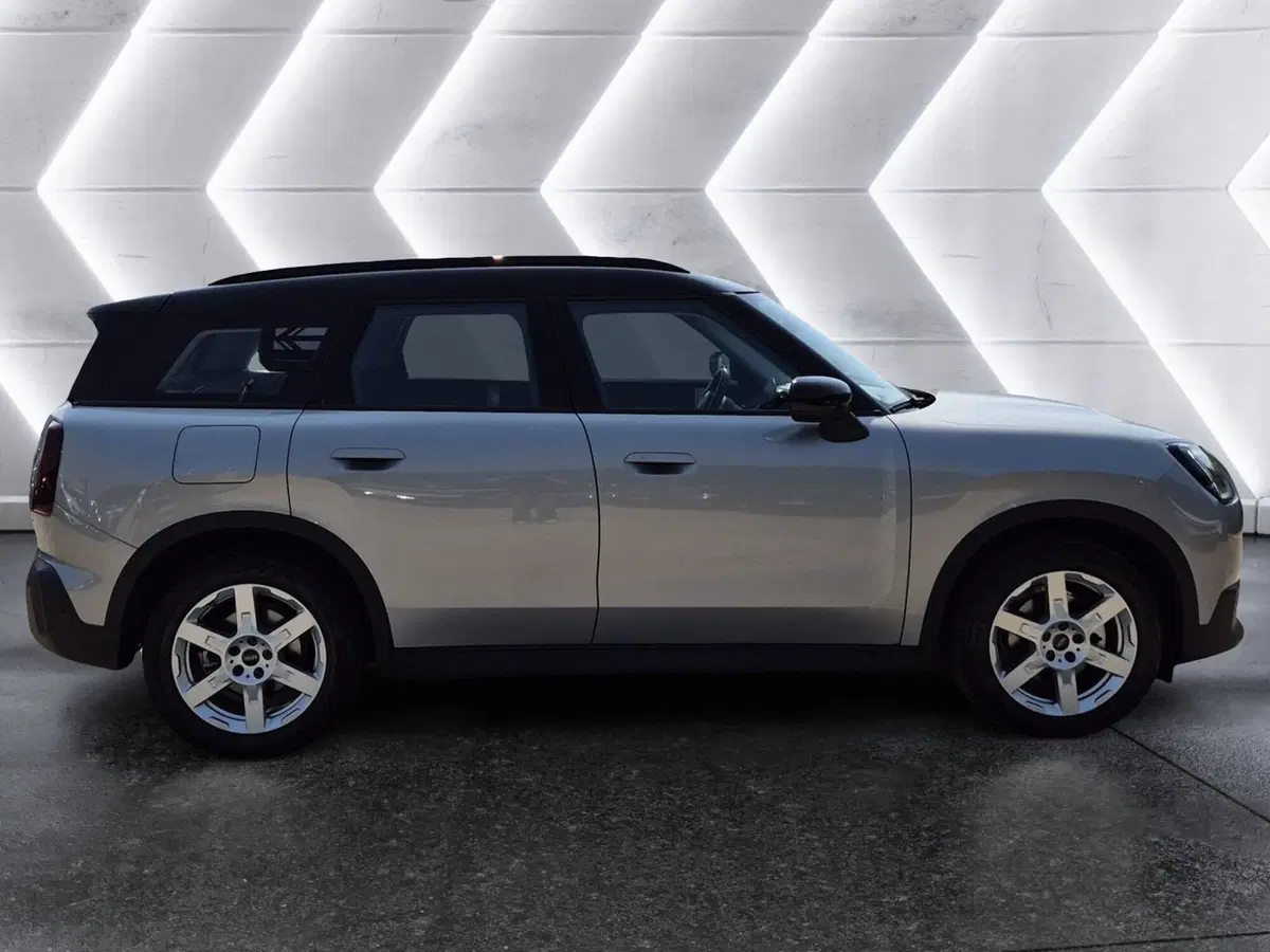 MINI Mini Countryman usata  (5)