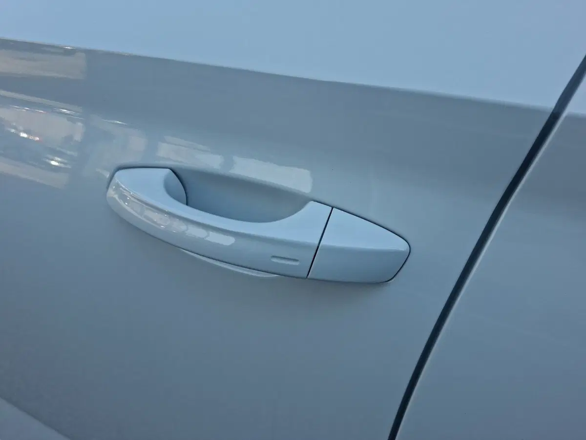 Skoda Scala nuova a Ancona (13)
