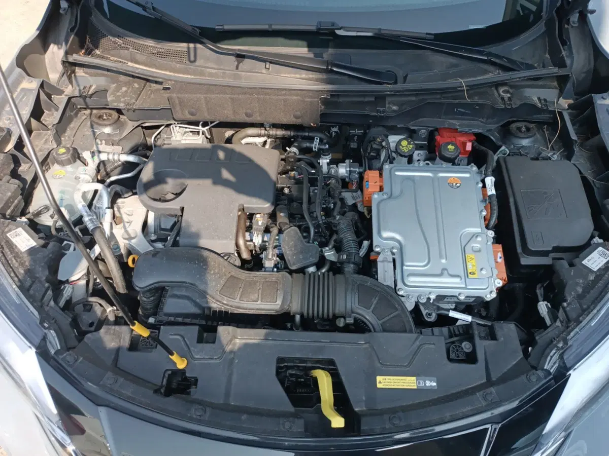 Nissan Juke usata a Forlì-Cesena (13)
