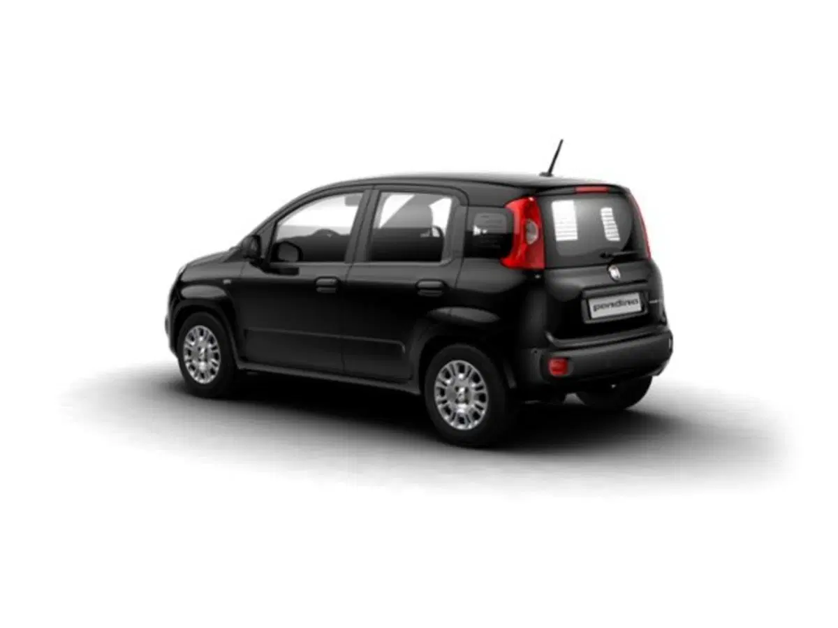 Fiat Pandina nuova a Livorno (2)