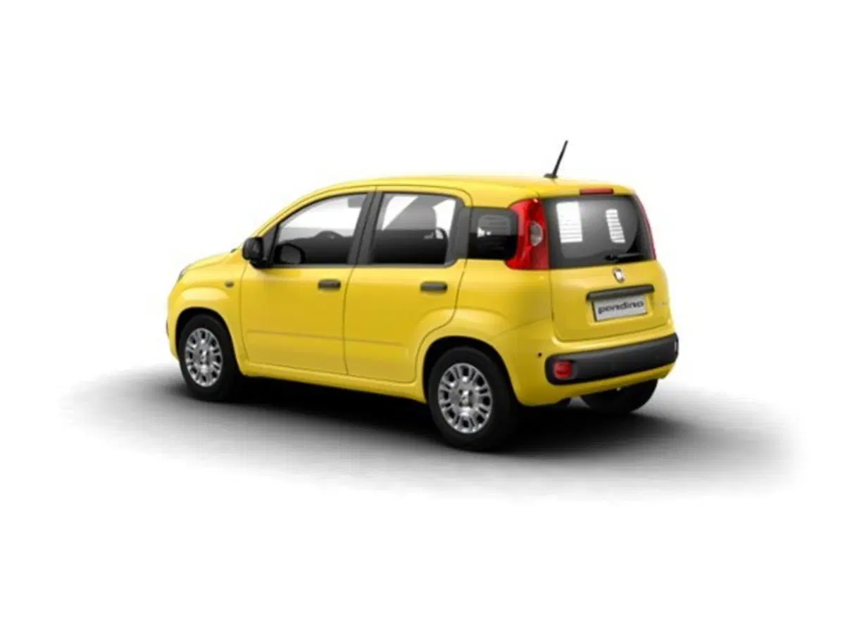 Fiat Pandina nuova a Siena (2)