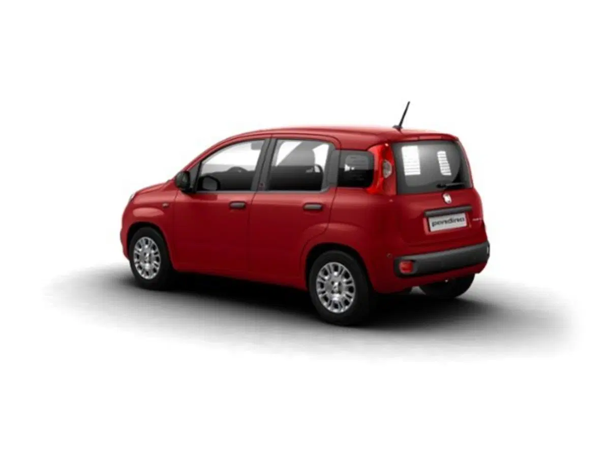 Fiat Pandina nuova a Firenze (2)