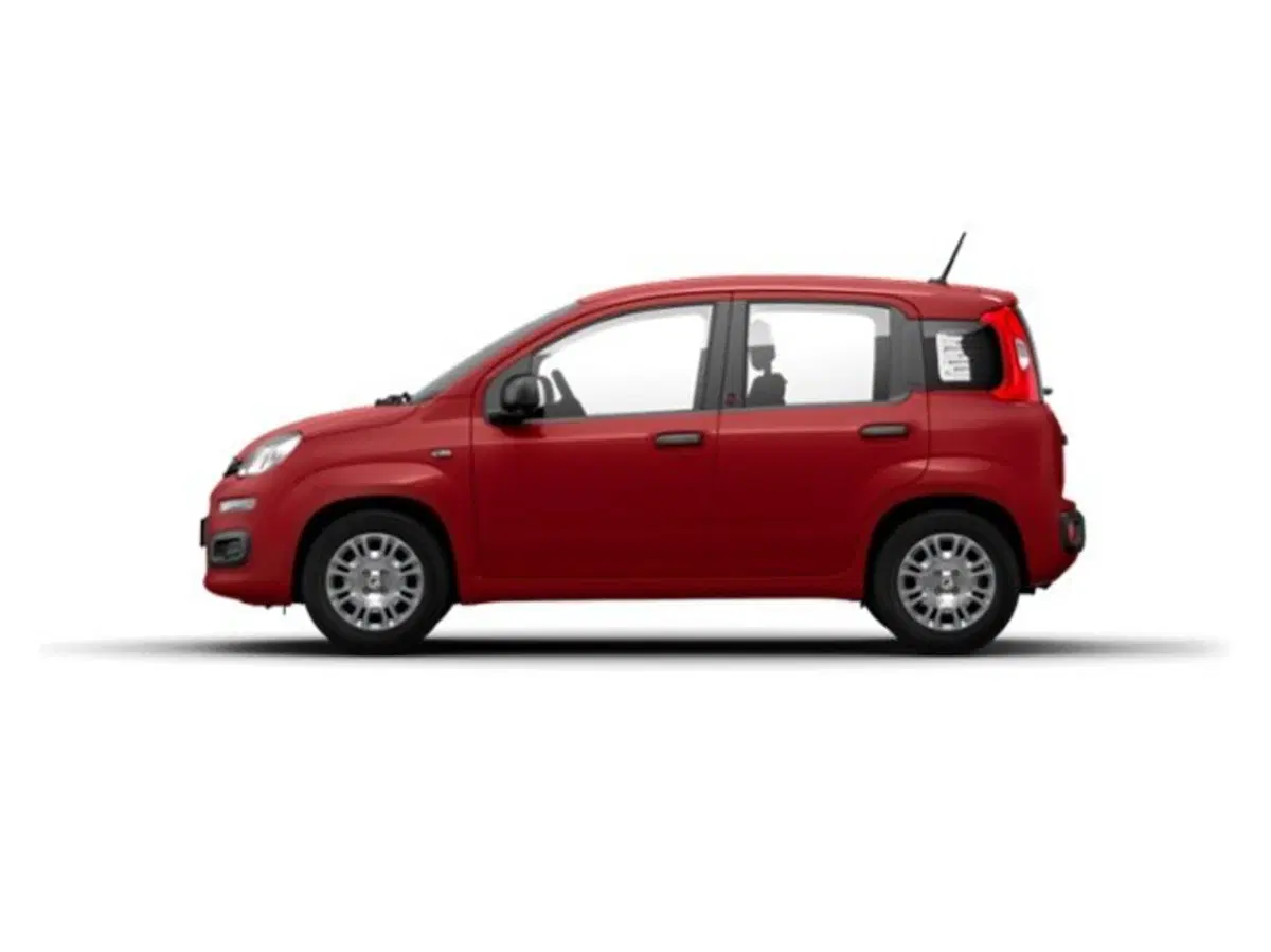Fiat Pandina nuova a Firenze (3)