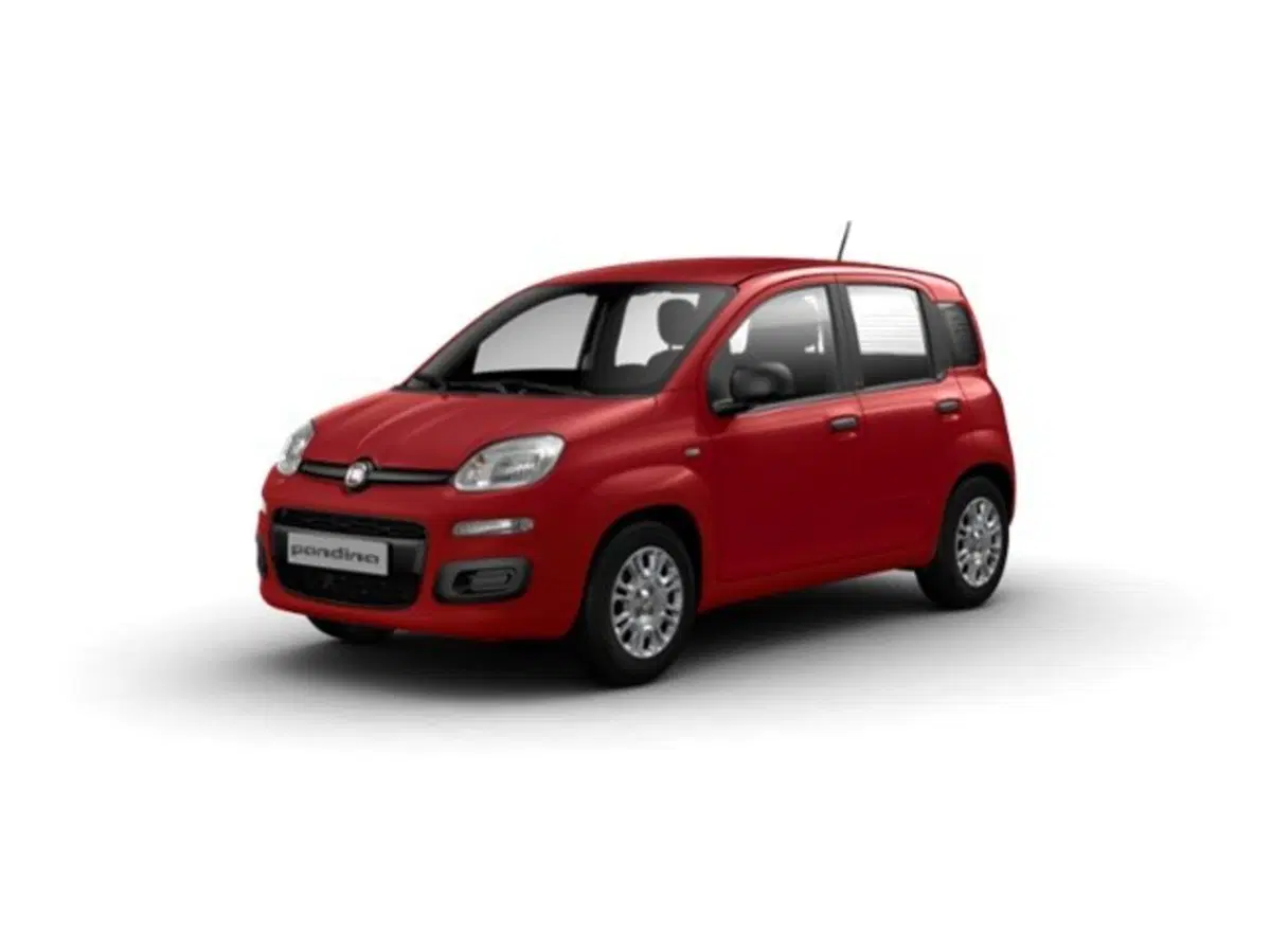 Fiat Pandina nuova a Firenze