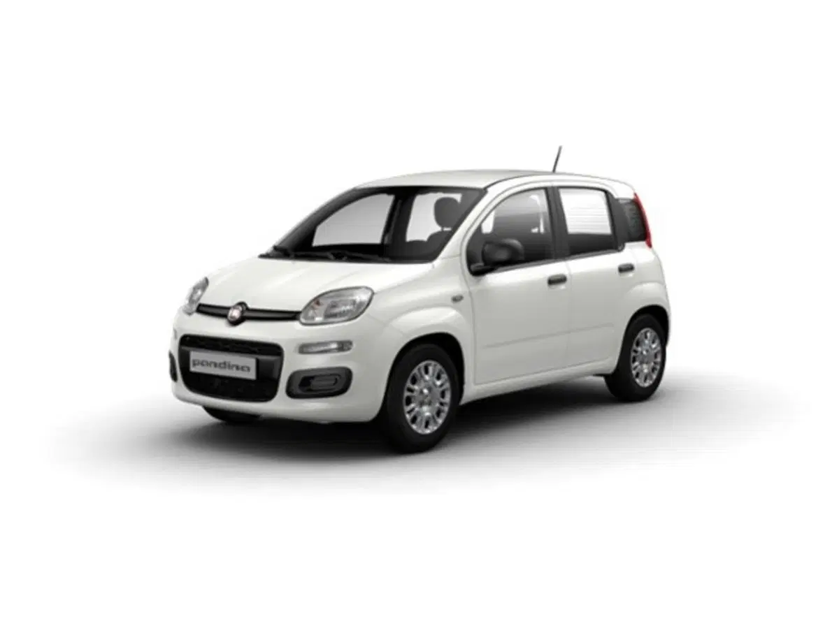 Fiat Pandina nuova a Firenze