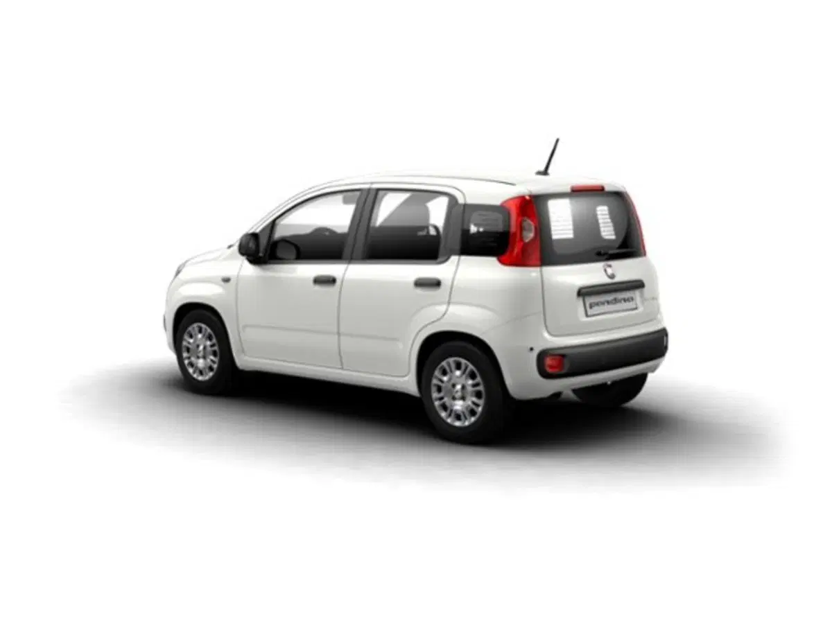 Fiat Pandina nuova a Firenze (2)