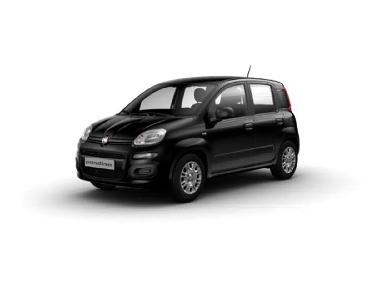 Fiat Pandina nuova a Firenze