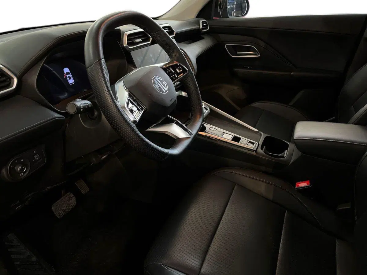 Mg ZS usata a Bari (10)