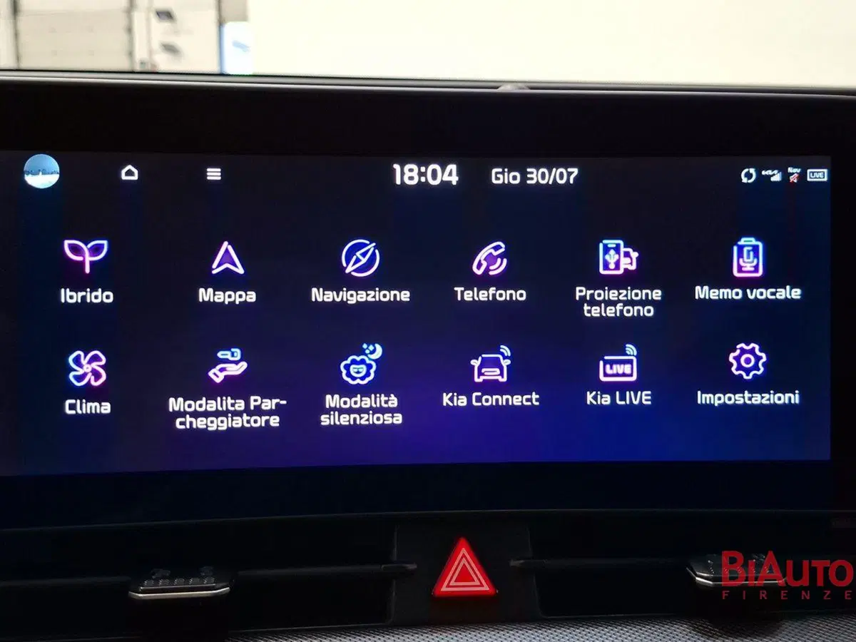 Kia Sportage usata a Firenze (14)
