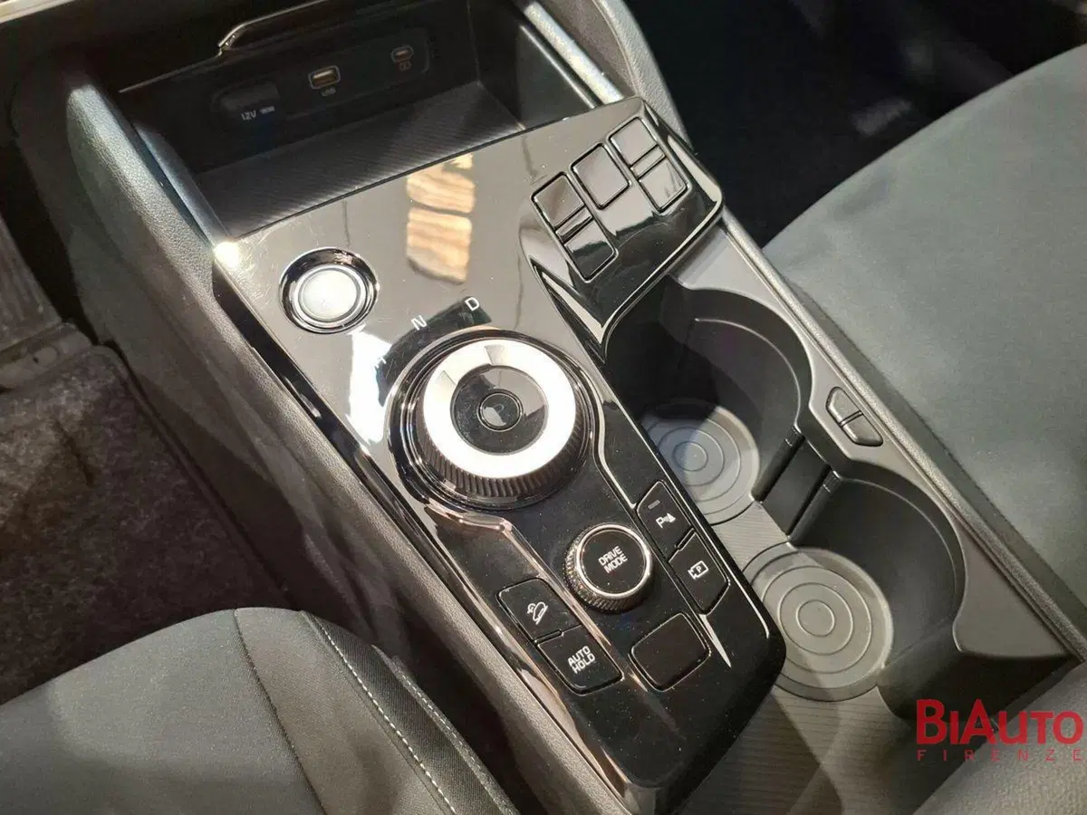 Kia Sportage usata a Firenze (16)