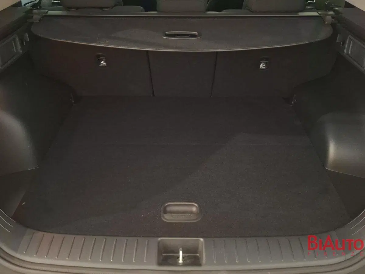 Kia Sportage usata a Firenze (5)