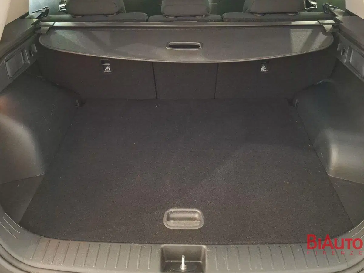 Kia Sportage usata a Firenze (5)
