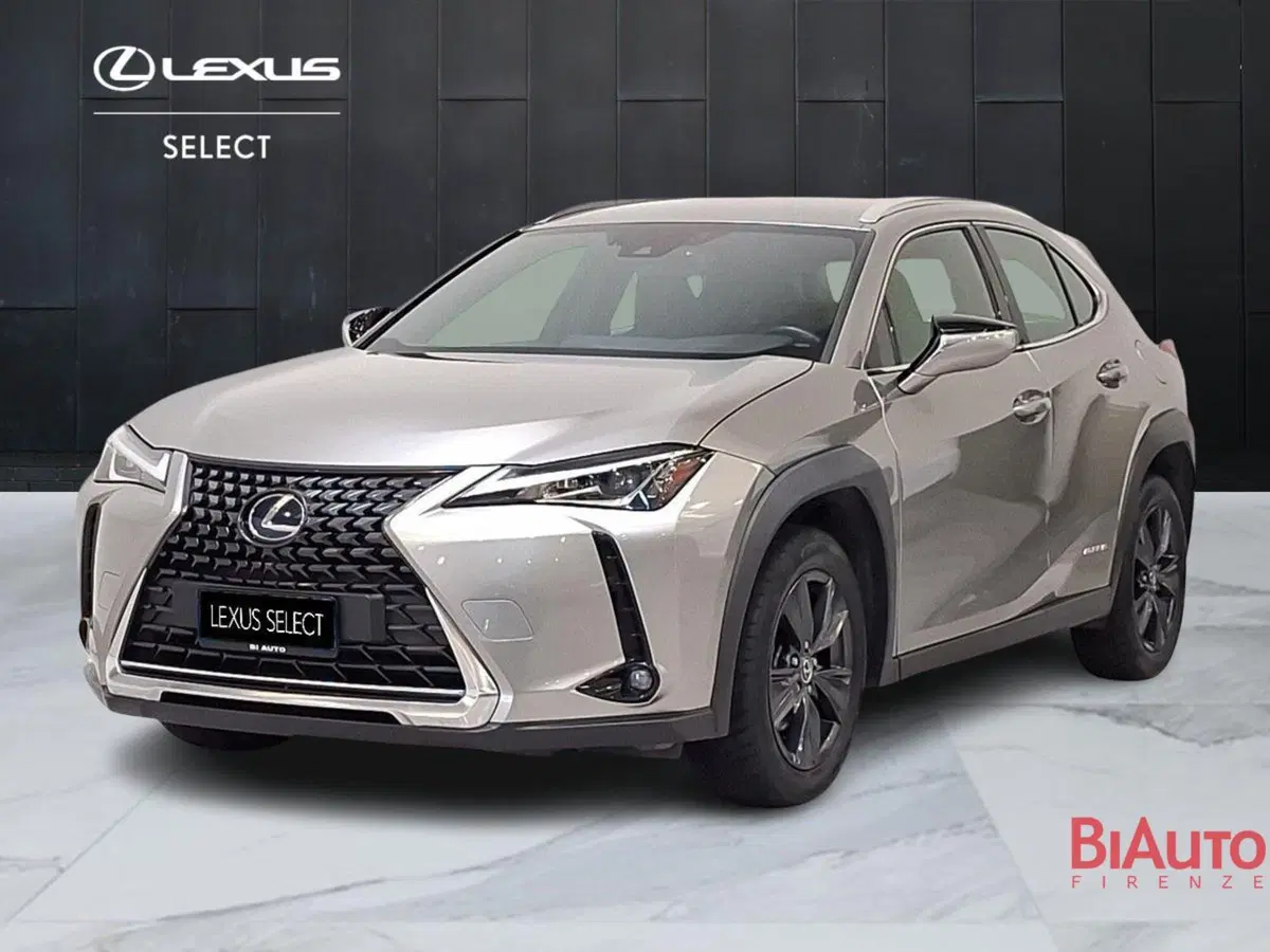 Lexus UX usata a Firenze