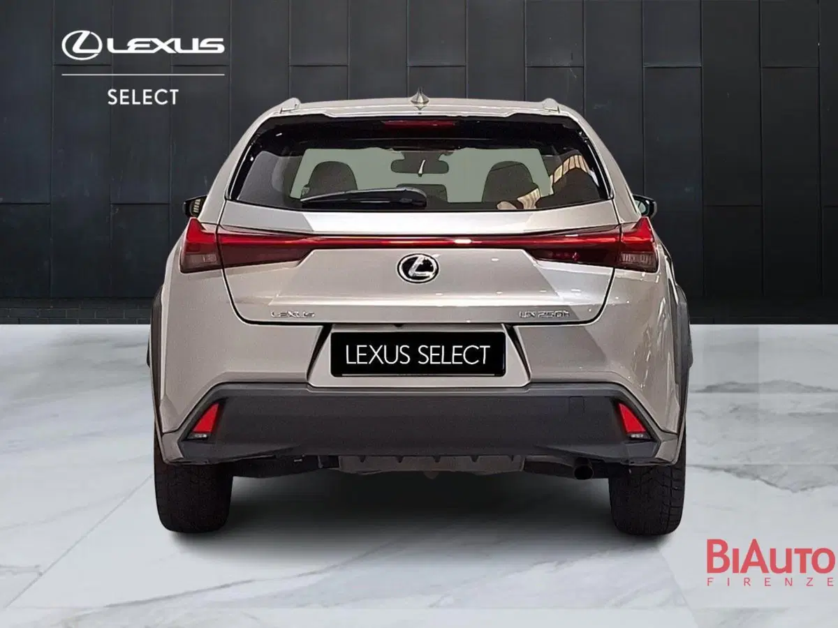 Lexus UX usata a Firenze (12)