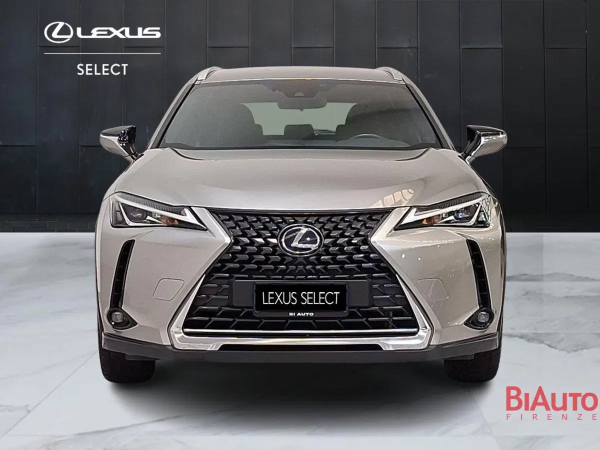 Lexus UX usata a Firenze (13)