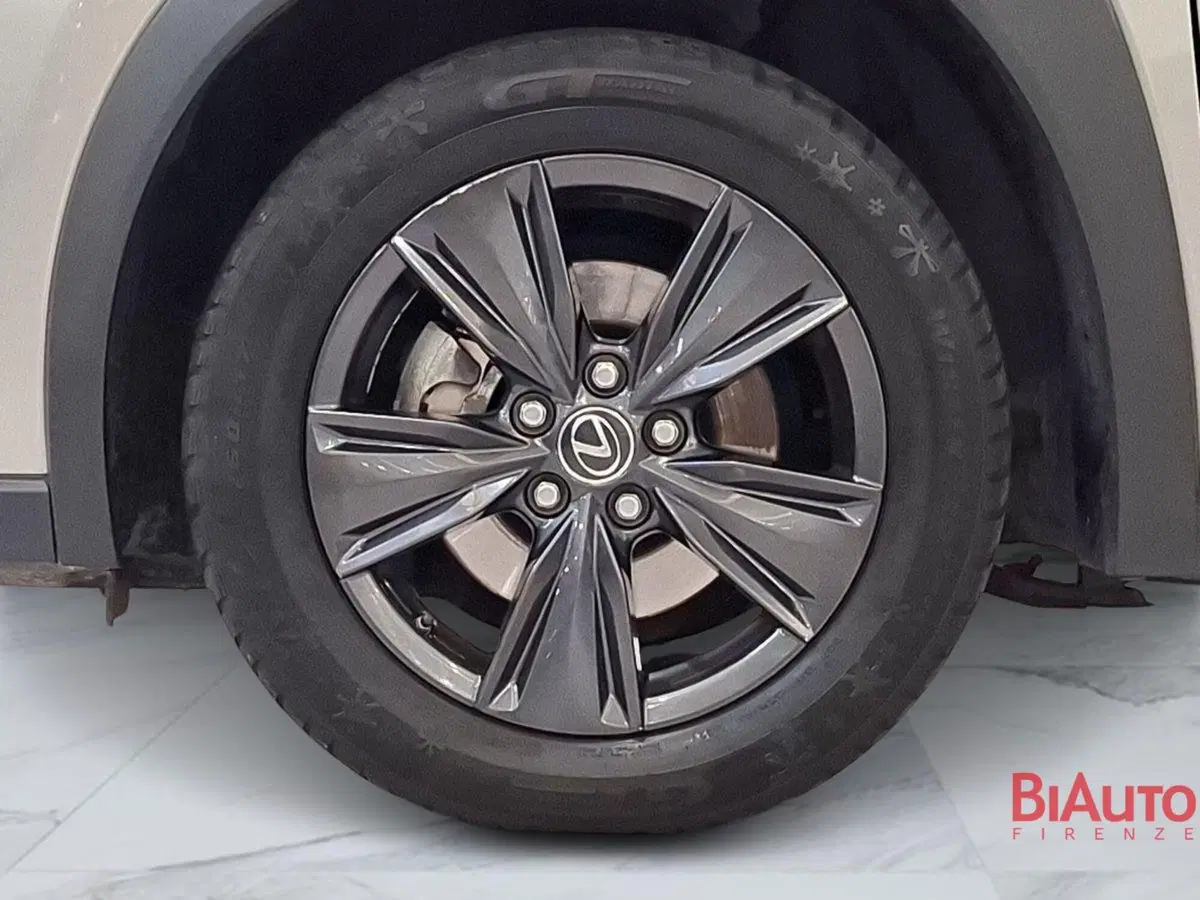 Lexus UX usata a Firenze (14)