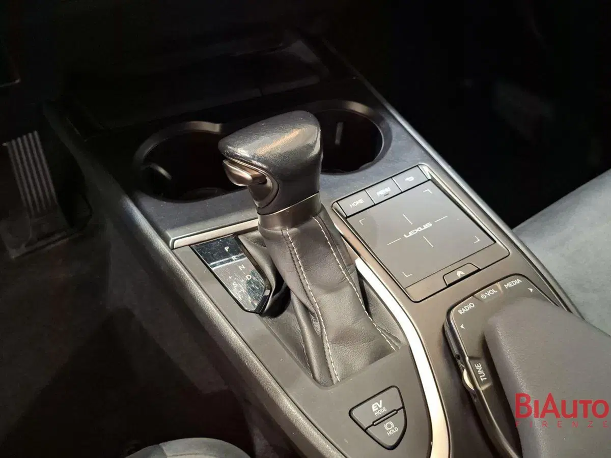 Lexus UX usata a Firenze (17)