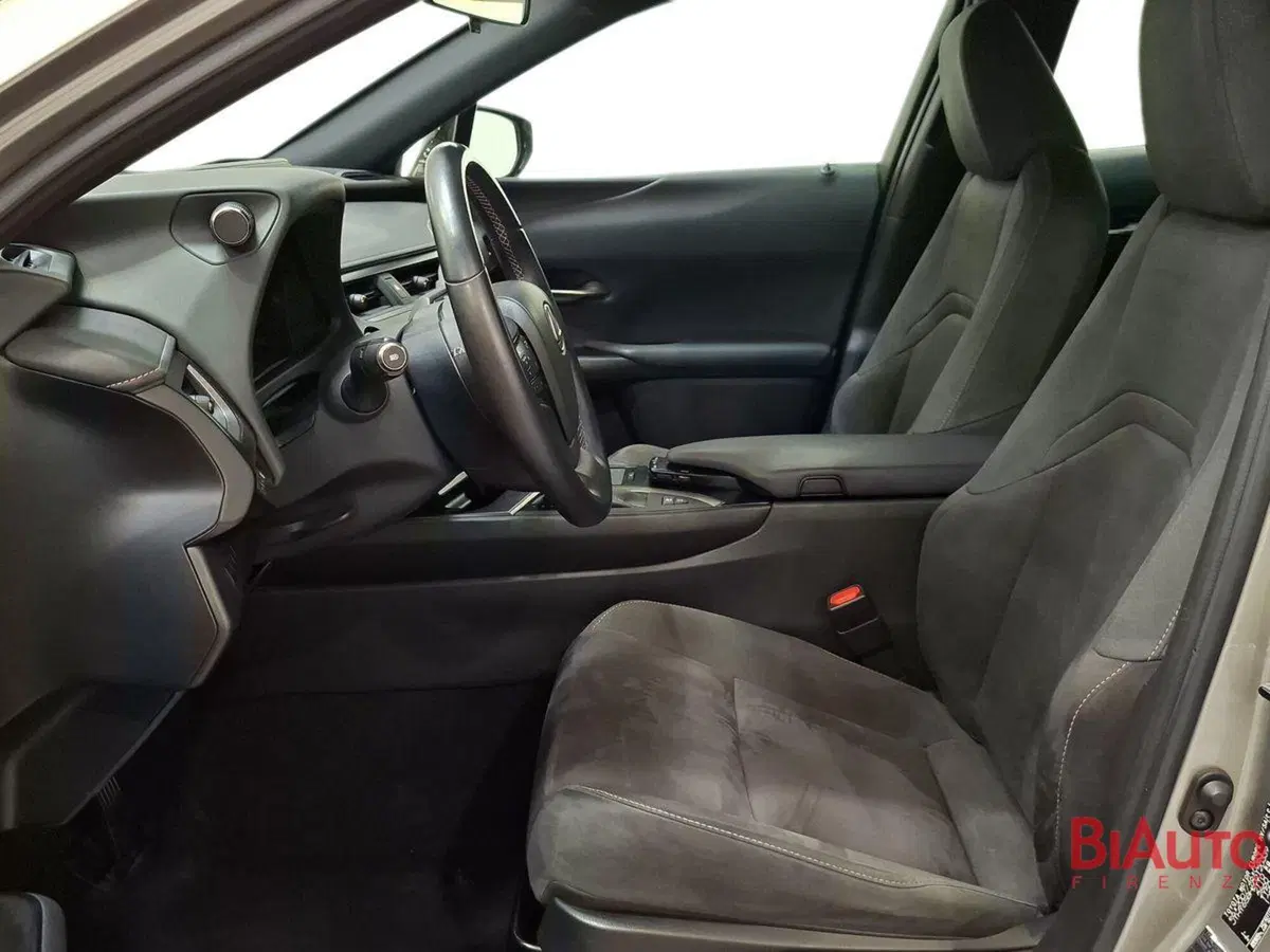 Lexus UX usata a Firenze (19)