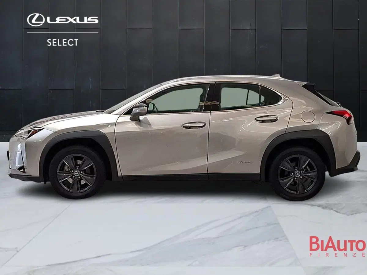 Lexus UX usata a Firenze (3)