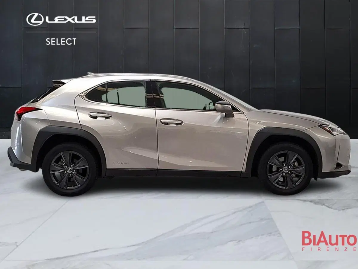 Lexus UX usata a Firenze (4)