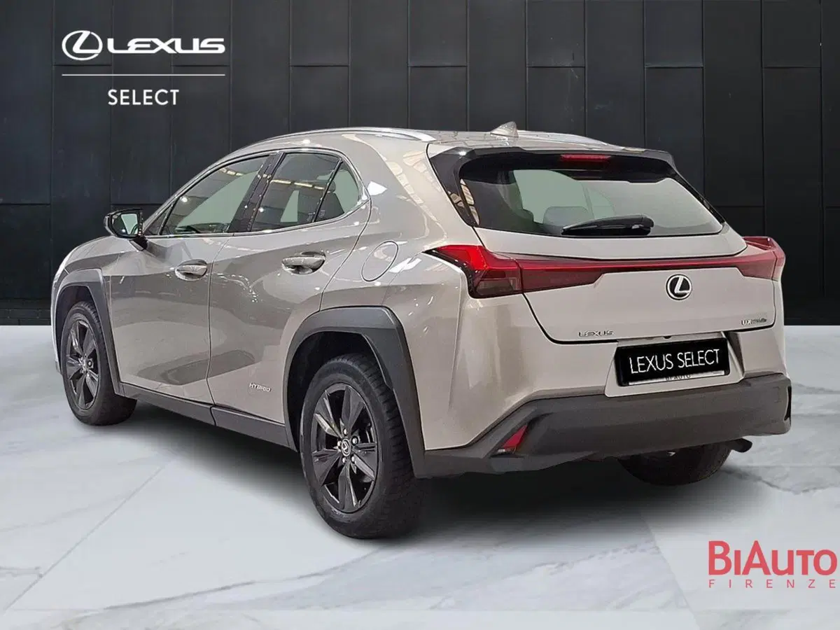 Lexus UX usata a Firenze (5)
