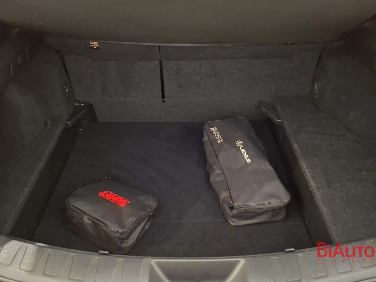 Lexus UX usata a Firenze (6)