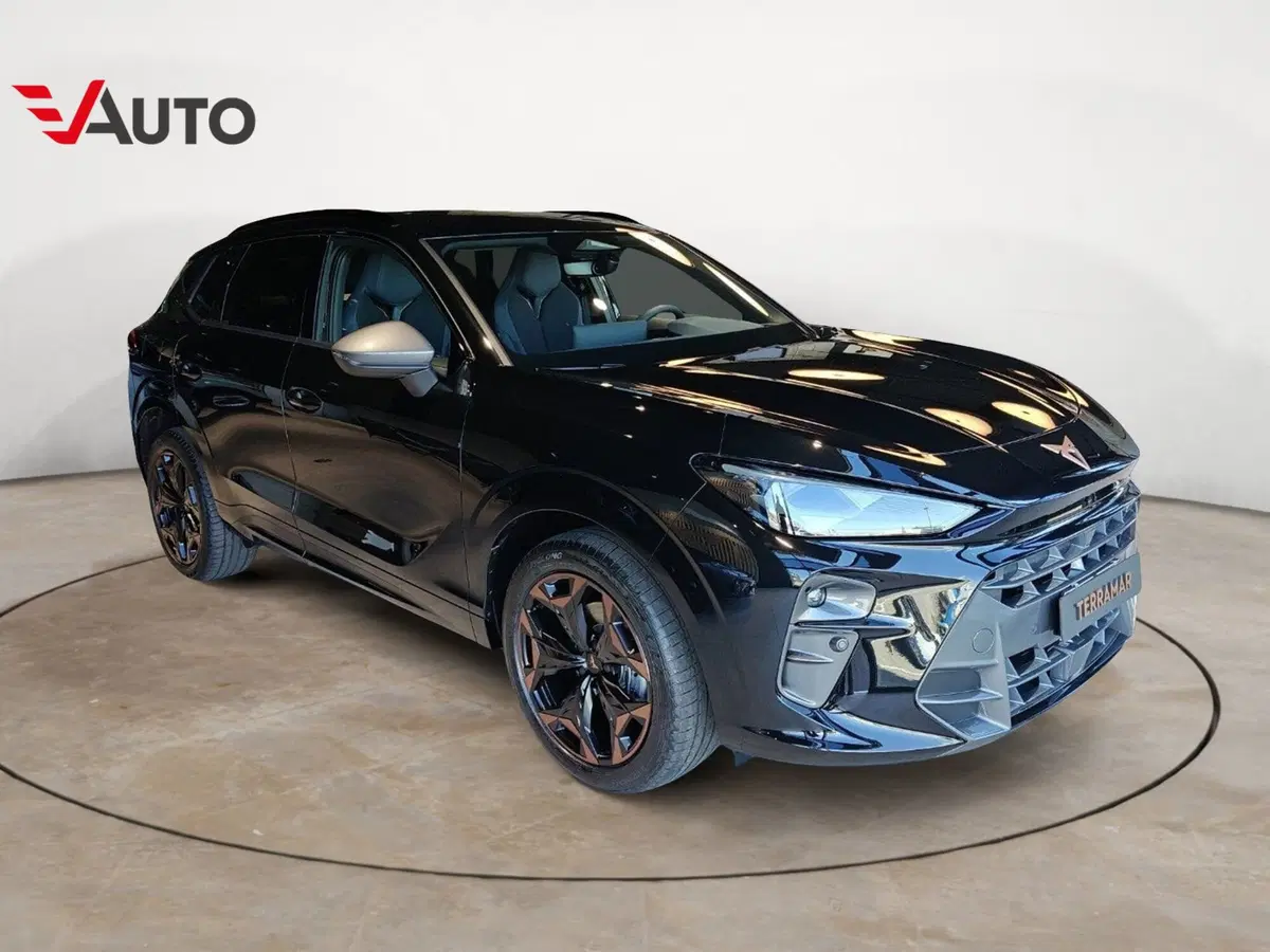 Cupra Terramar nuova a Novara (2)