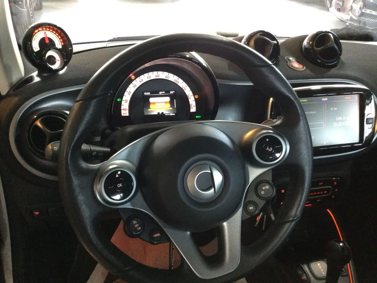smart Fortwo usata a Caserta (13)