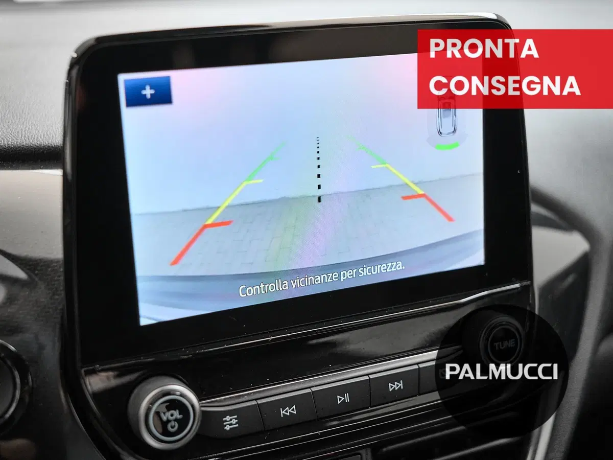 Ford Puma usata a Prato (12)