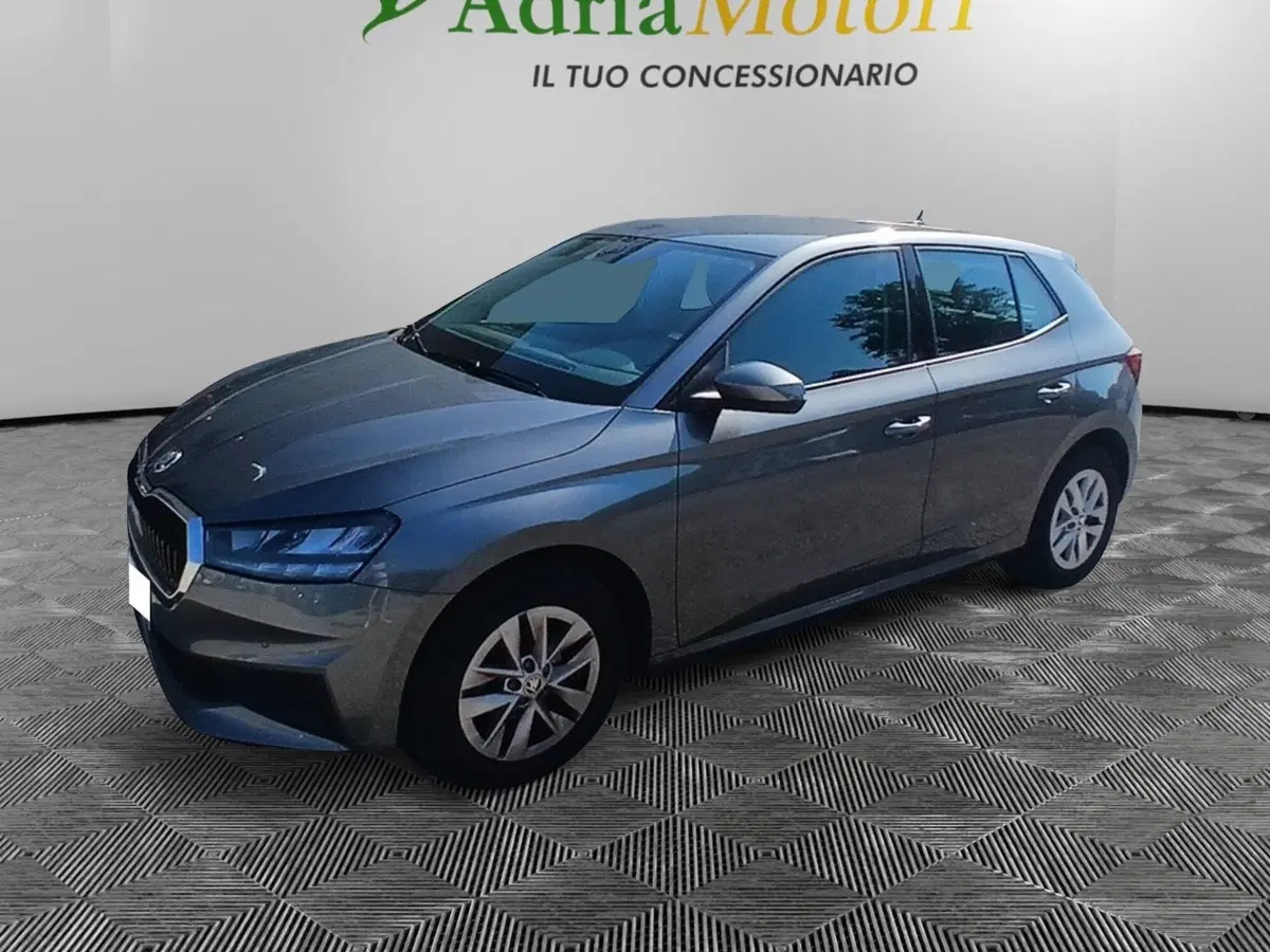 Skoda Fabia usata a Pordenone