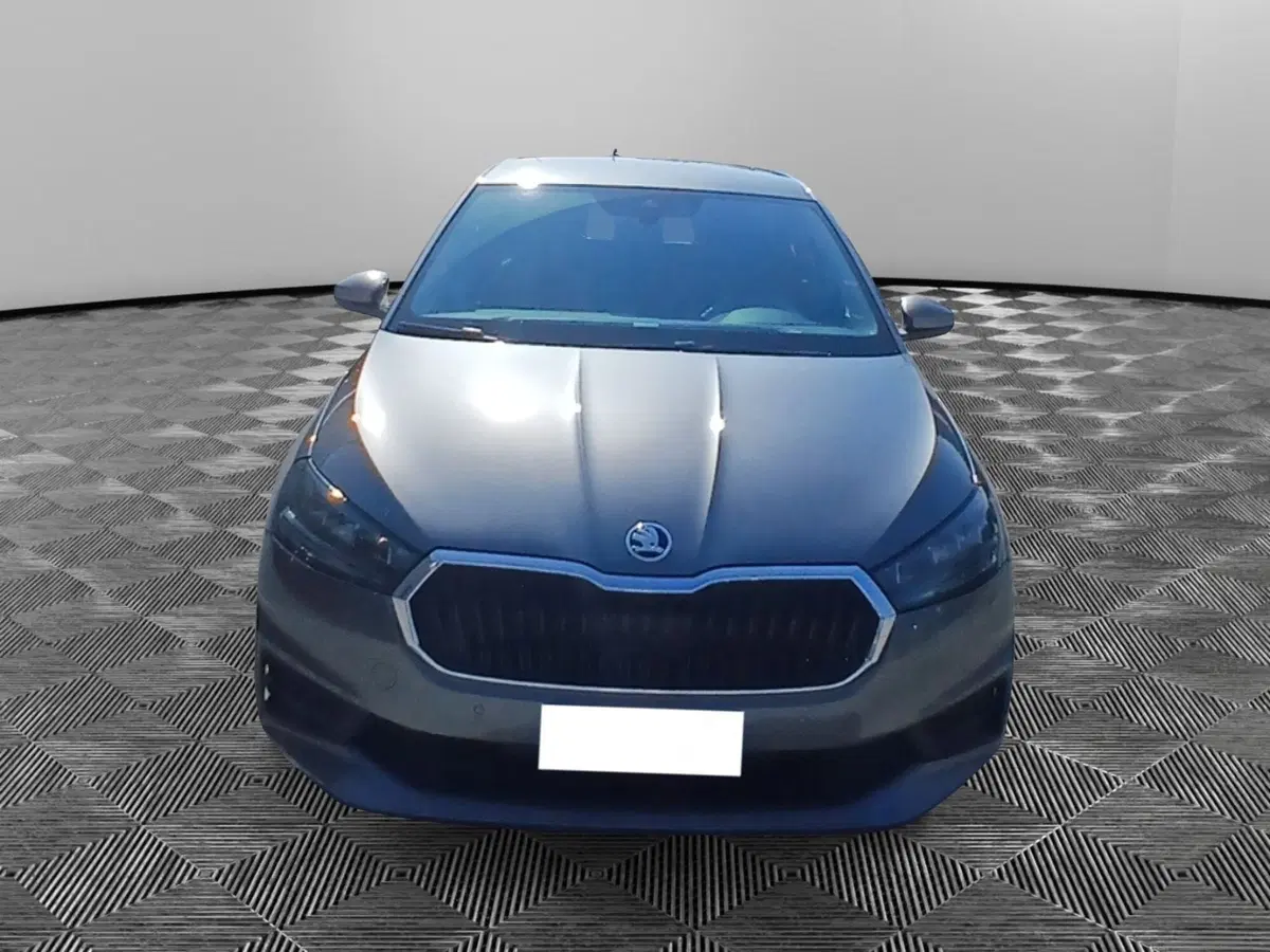 Skoda Fabia usata a Pordenone (8)