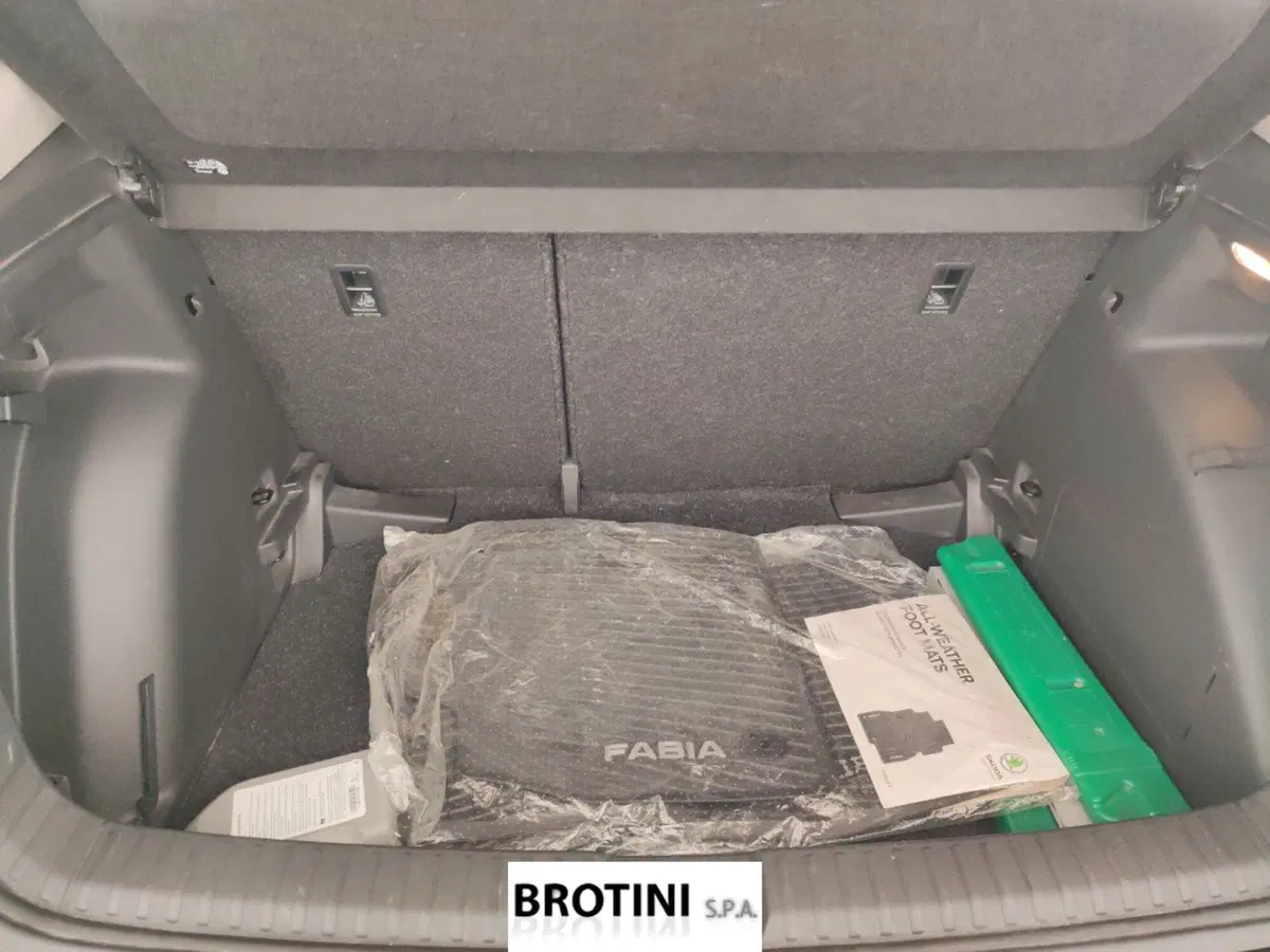 Skoda Fabia usata a Massa-Carrara (15)