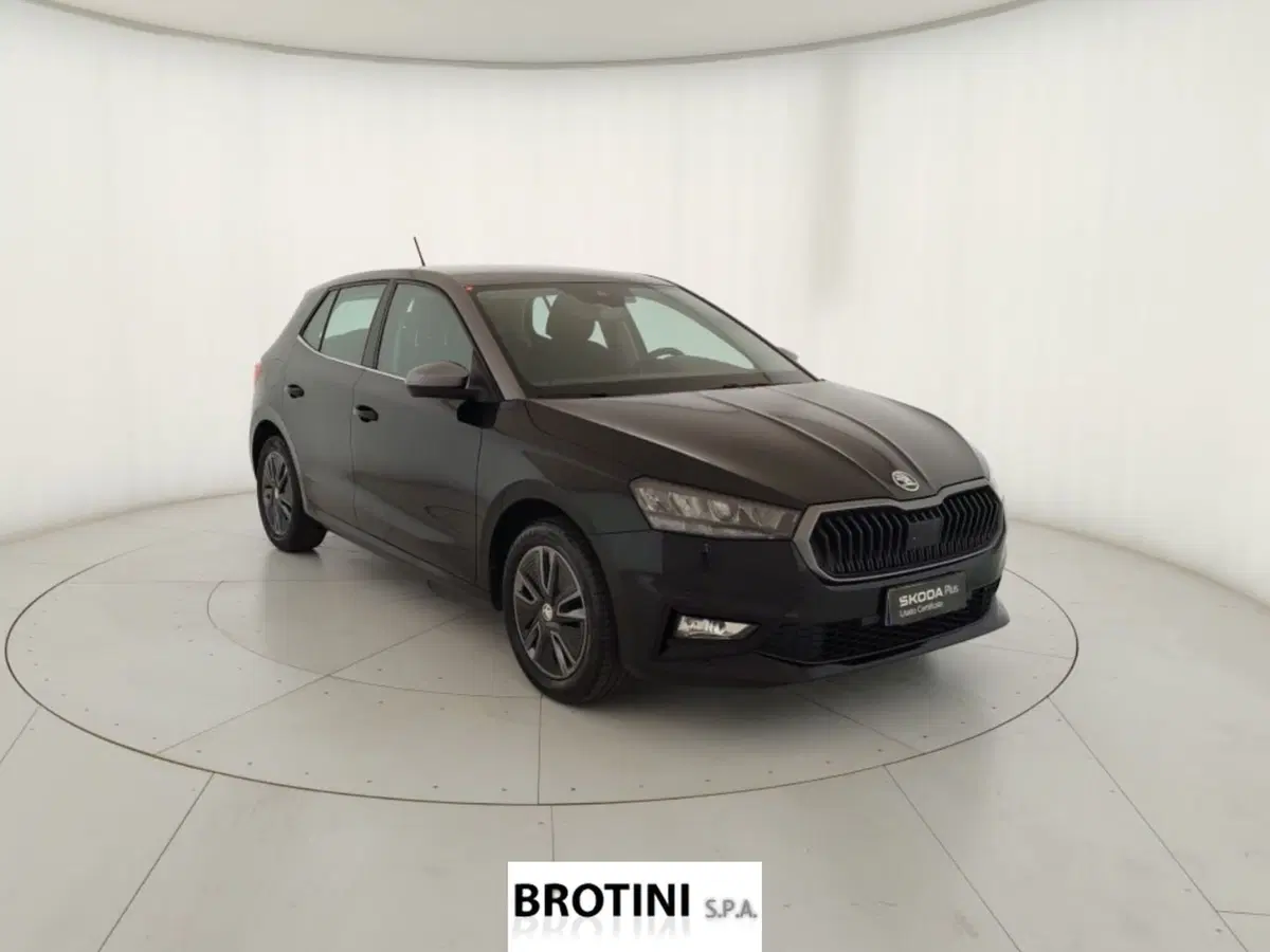 Skoda Fabia usata a Massa-Carrara (4)