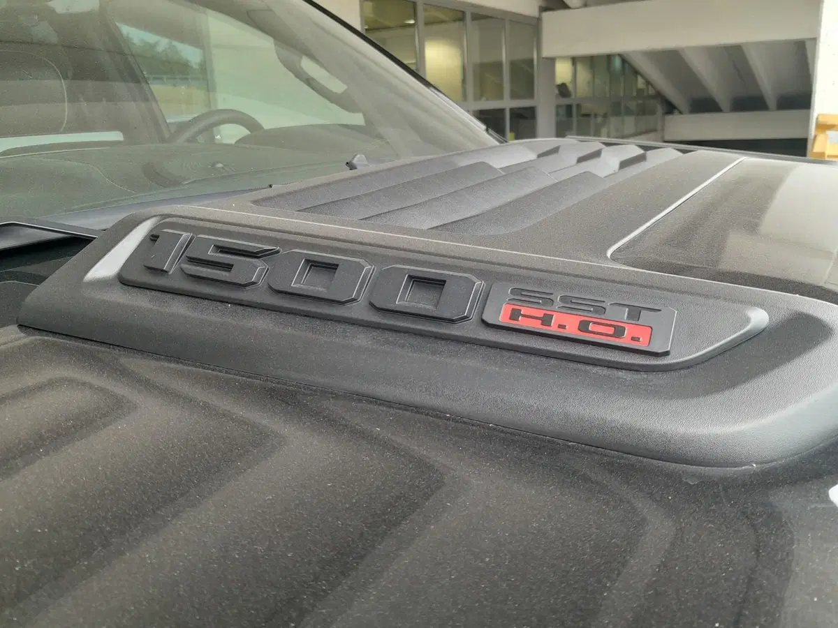 Ram Ram Pick-up nuova a Asti (17)