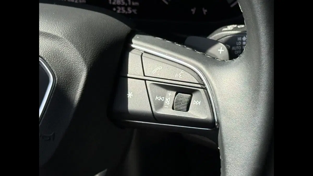 Audi A4 Avant usata a Palermo (13)