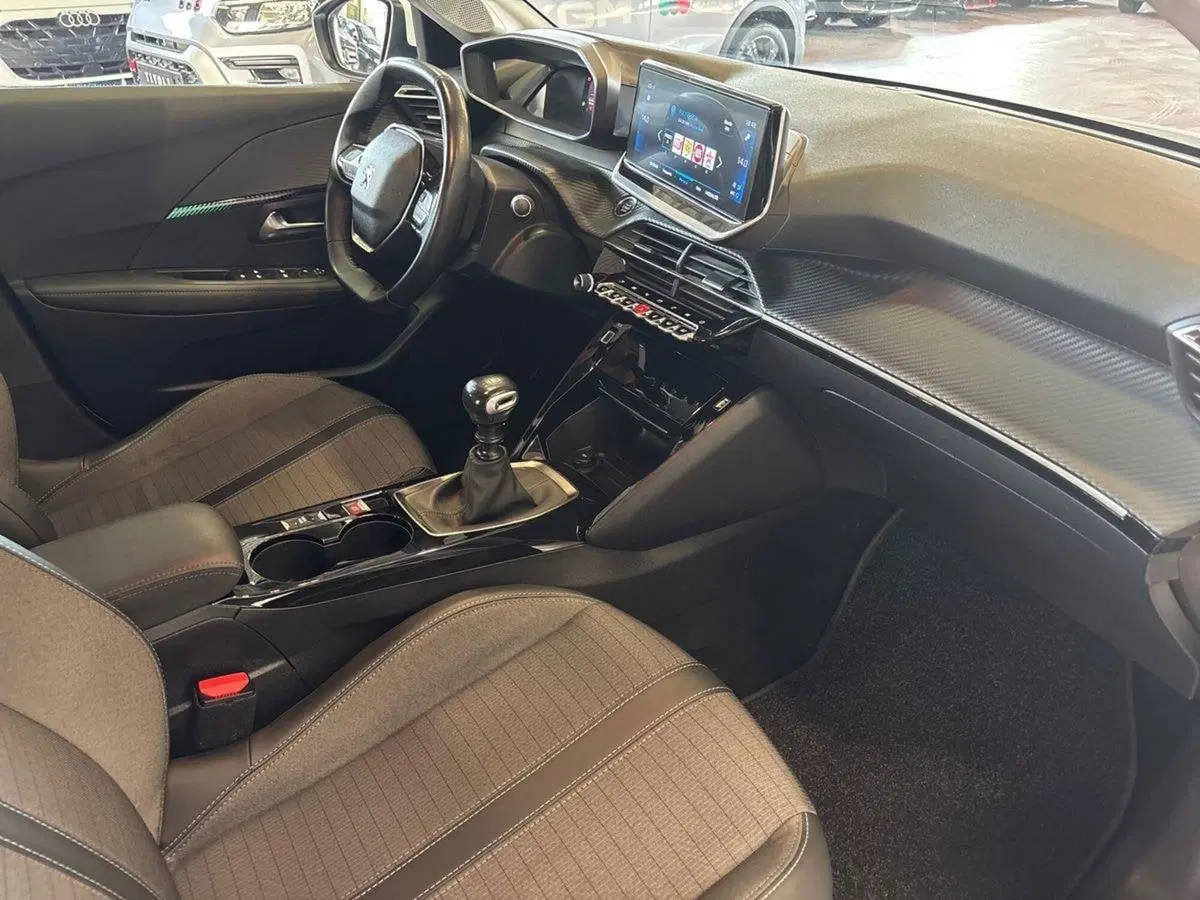 Peugeot 208 usata a Firenze (18)