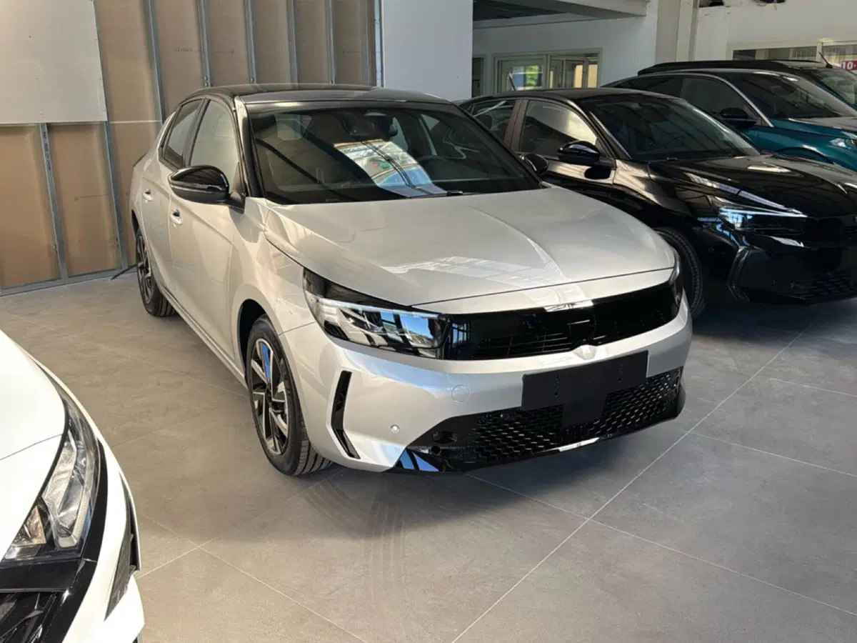 Opel Corsa nuova a Frosinone (8)