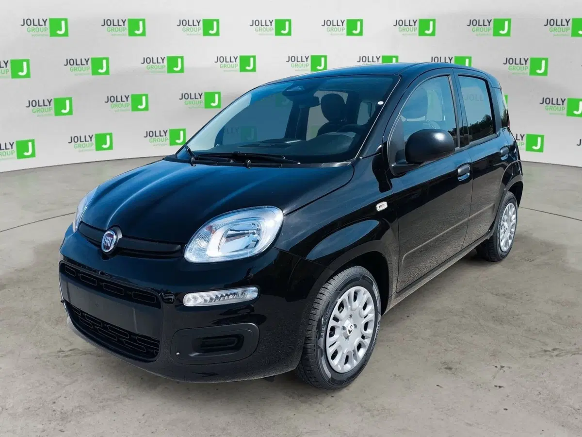 Fiat Pandina nuova a Frosinone (2)