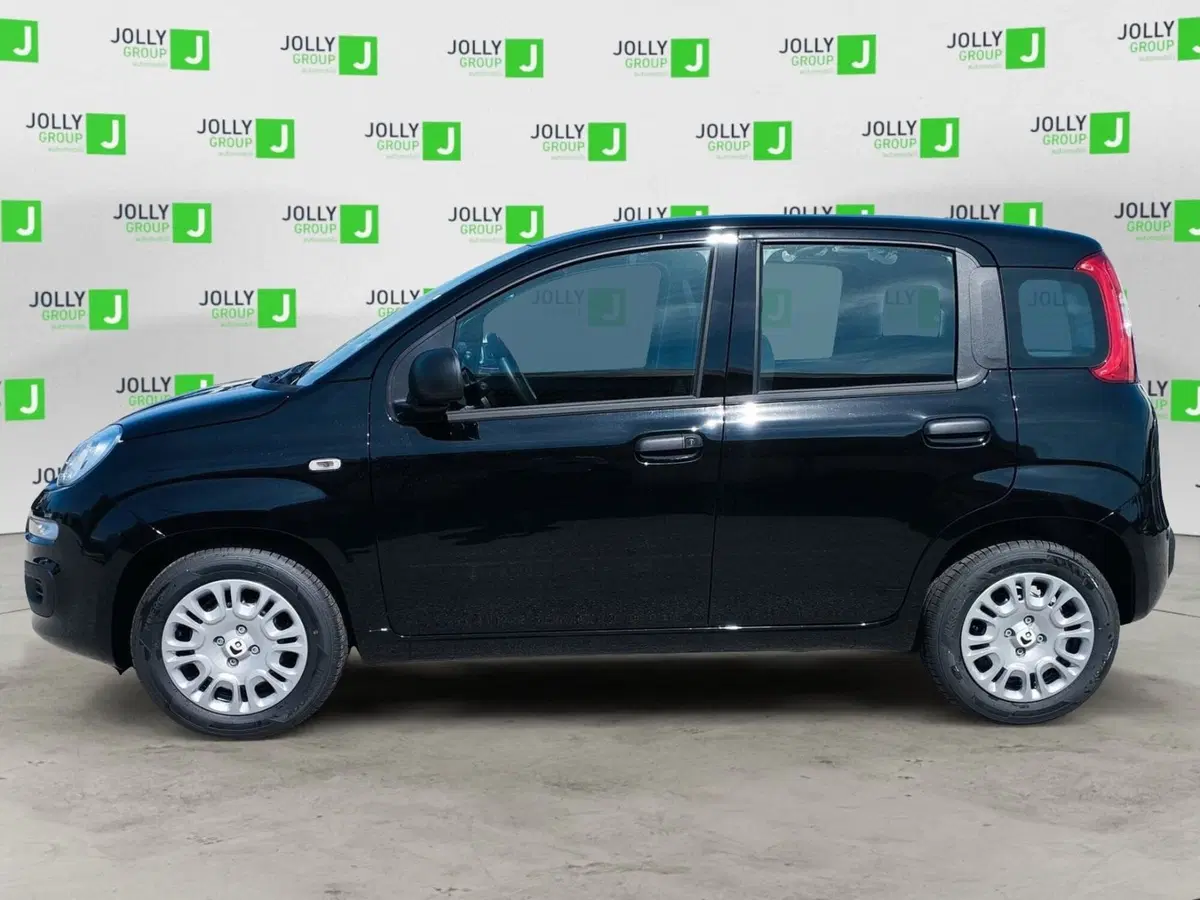Fiat Pandina nuova a Frosinone (3)