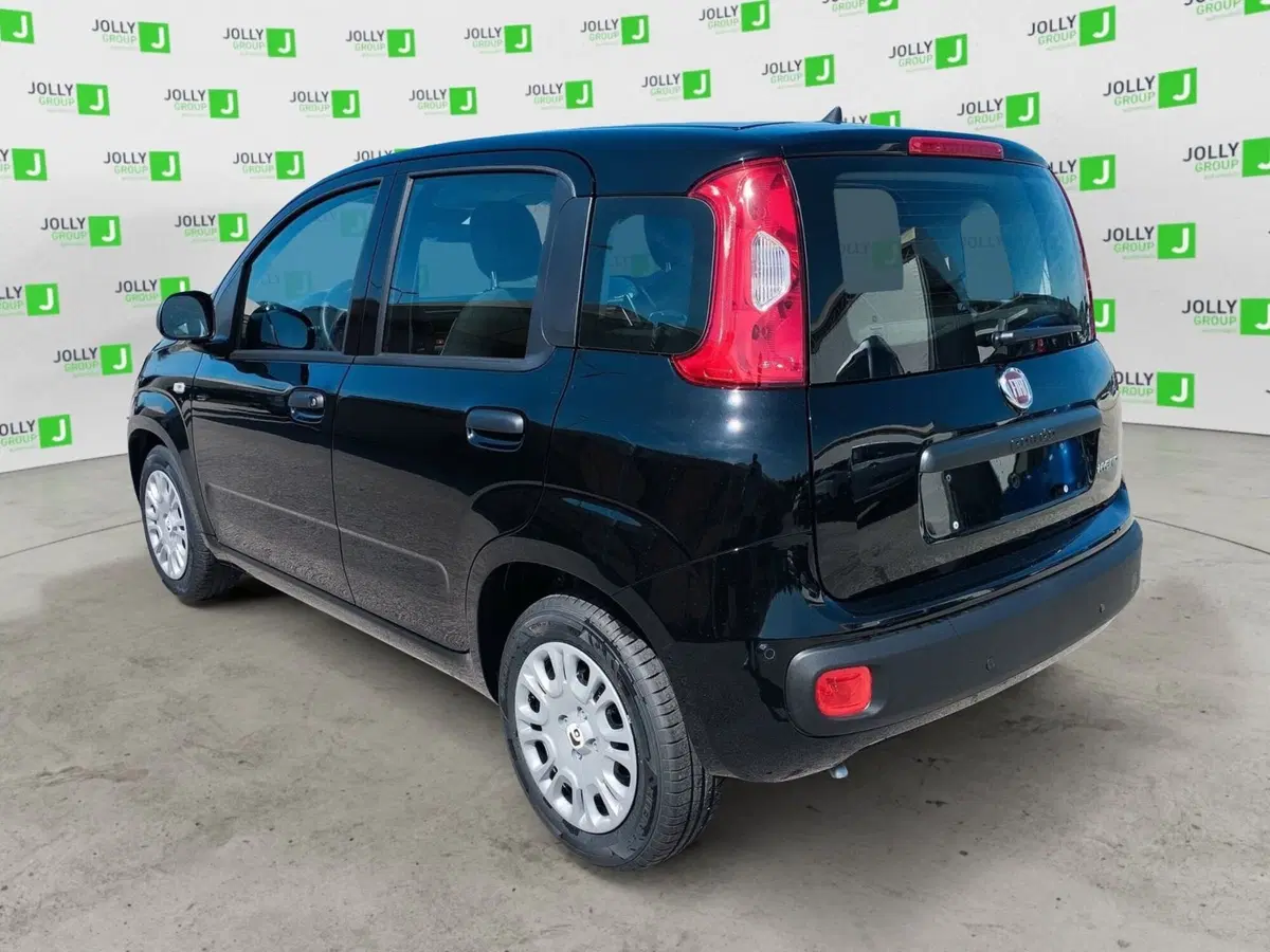 Fiat Pandina nuova a Frosinone (4)