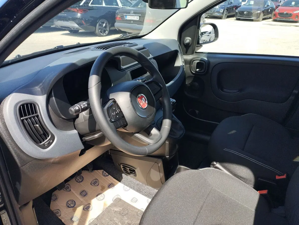 Fiat Pandina nuova a Frosinone (6)