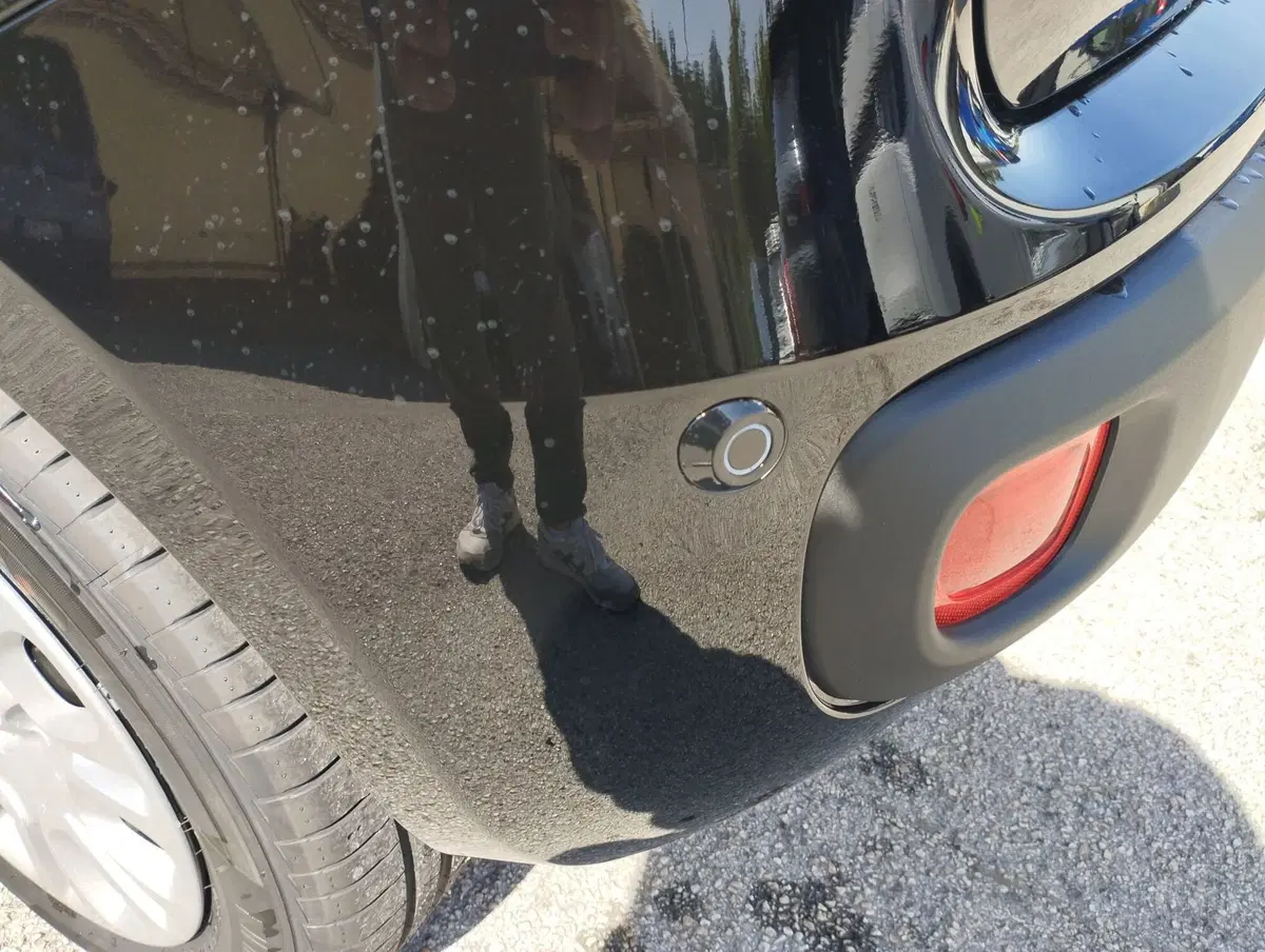 Fiat Pandina nuova a Frosinone (9)