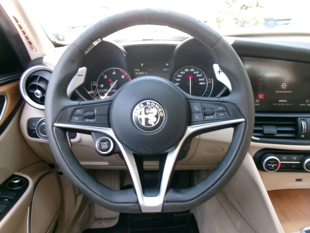 Alfa Romeo Giulia usata a Venezia (16)