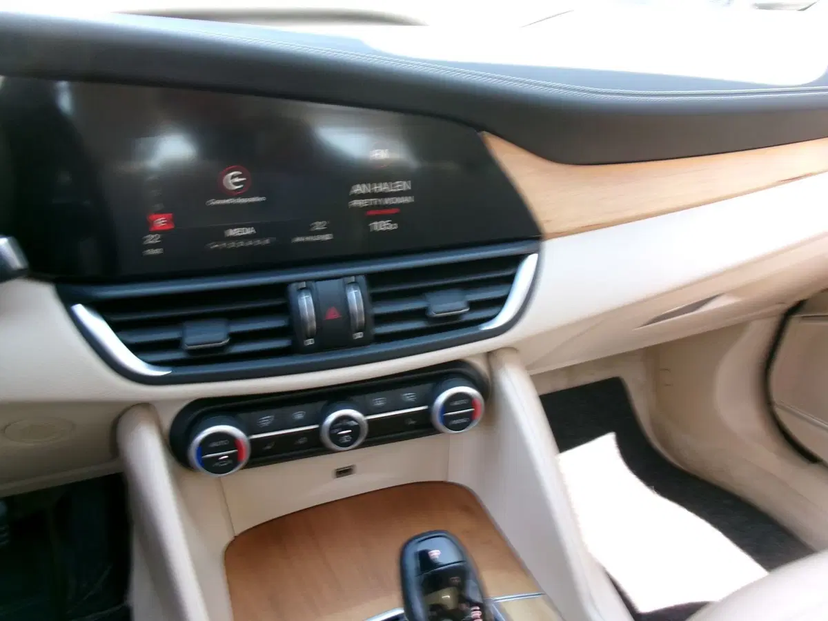 Alfa Romeo Giulia usata a Venezia (17)