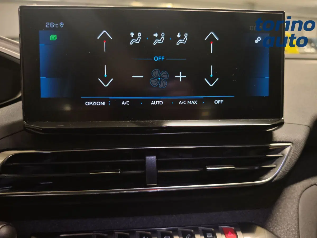 Peugeot 3008 usata a Torino (17)