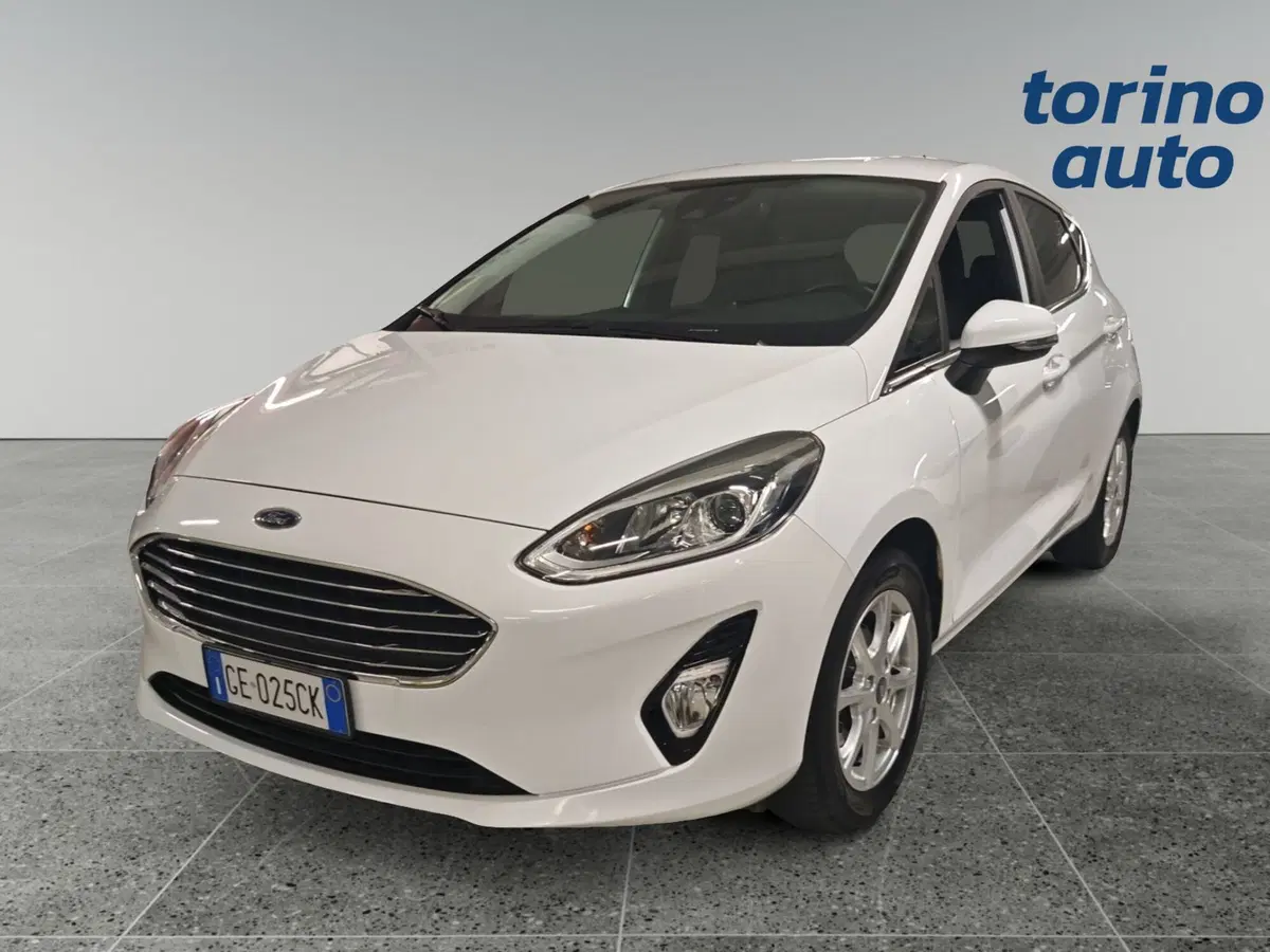 Ford Fiesta usata a Torino (2)