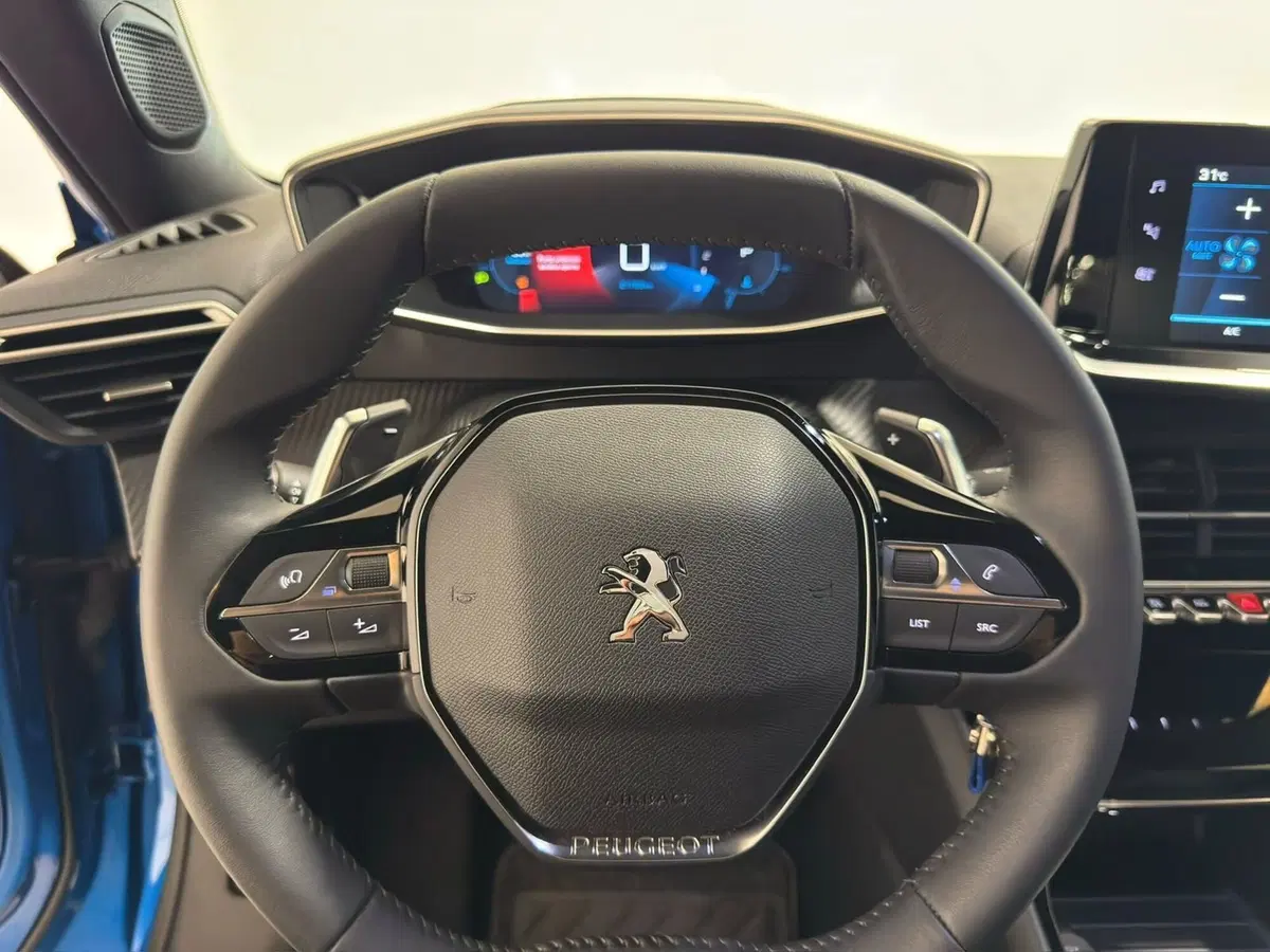Peugeot 2008 usata a Novara (20)
