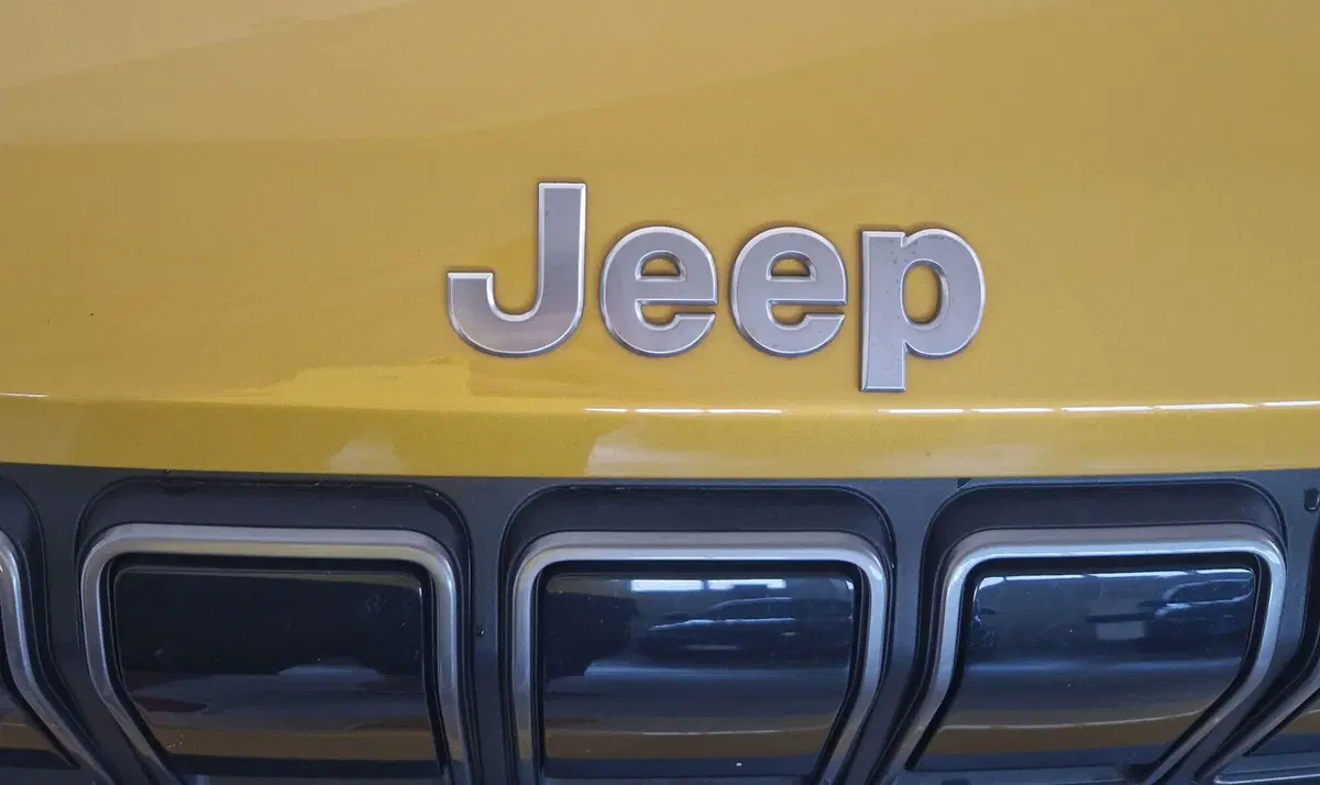 Jeep Avenger usata a Terni (18)