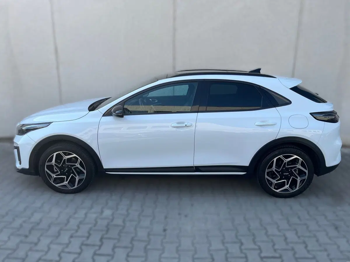 Kia XCeed usata a Ferrara (3)