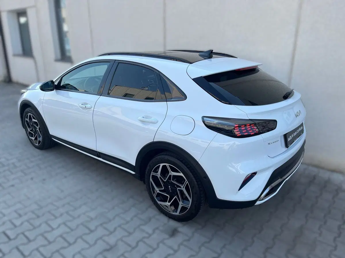 Kia XCeed usata a Ferrara (4)